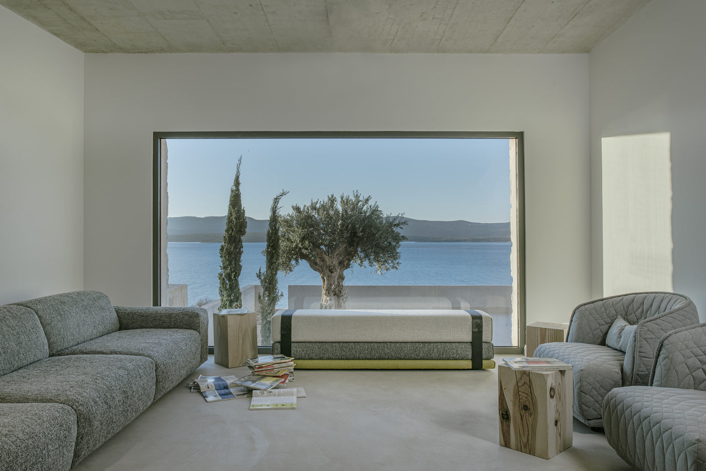 Bavul Prostoria Green living